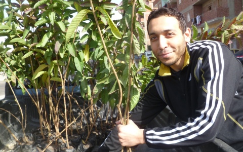 Planting trees in Egypt. Photo: Jayson Casper
