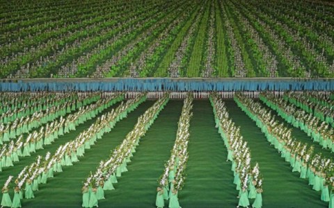 Jeremy Hunter: ‘The thing you have to remember is there is no religion in North Korea.’ He believes this mosaic, done by teens holding flipboards, represents an apple orchard.