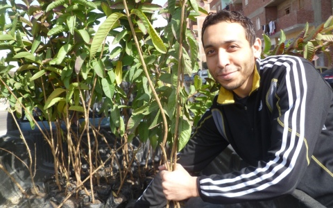 Planting trees in Egypt. Photo: Jayson Casper Planting trees in Egypt. Photo: Jayson Casper